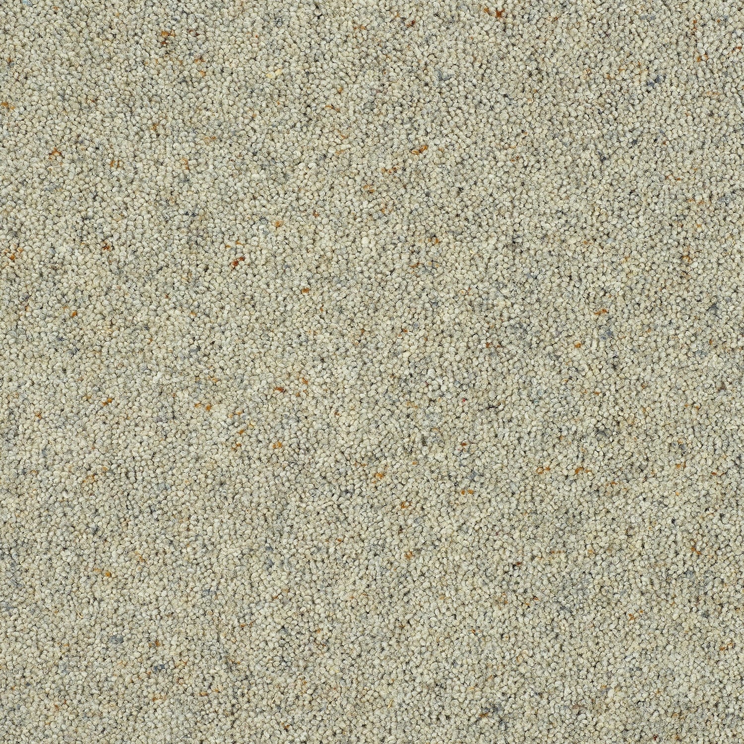 Dove Grey