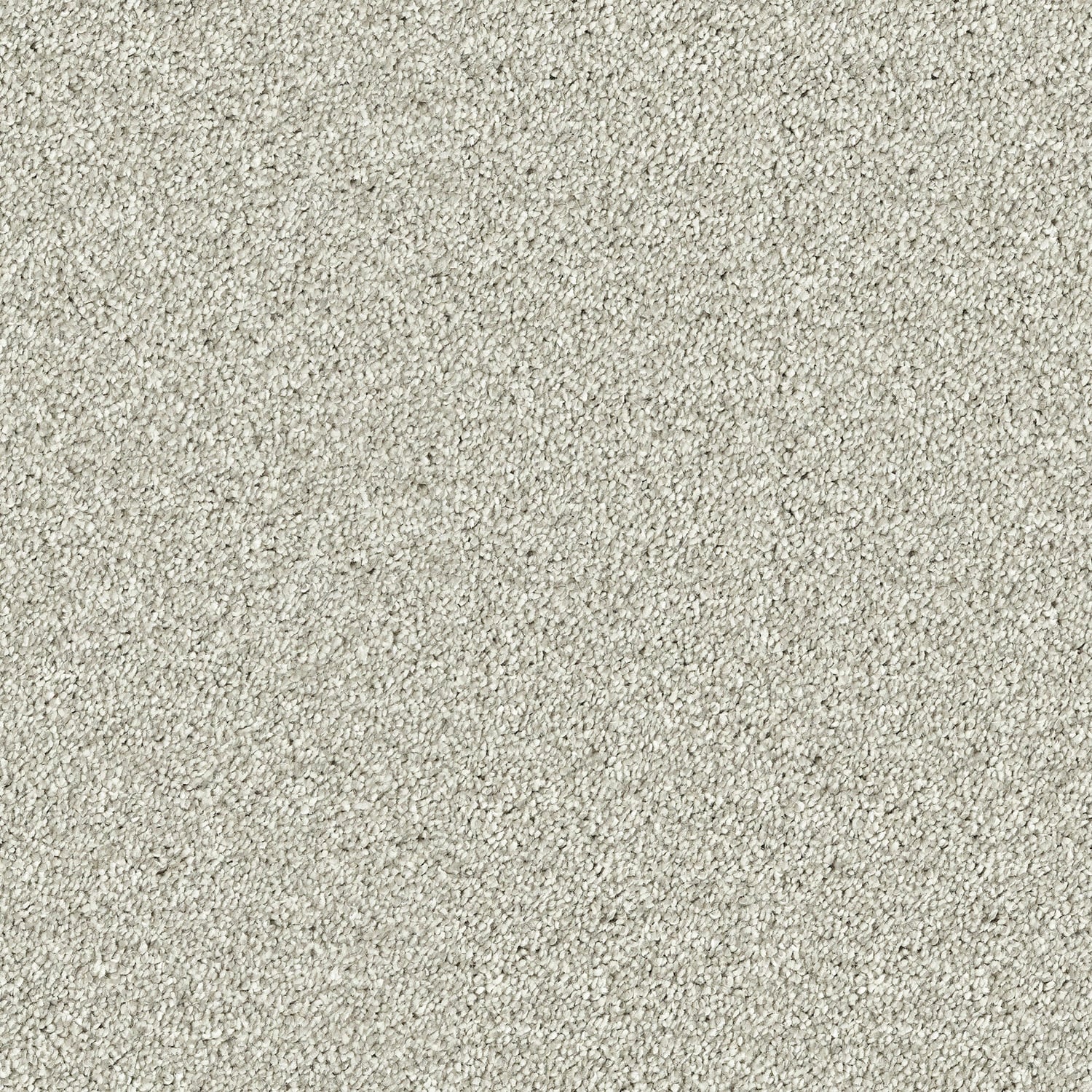 Wolf Grey
