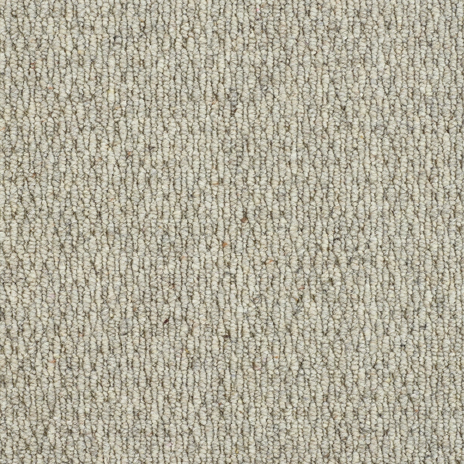 Huskey Grey