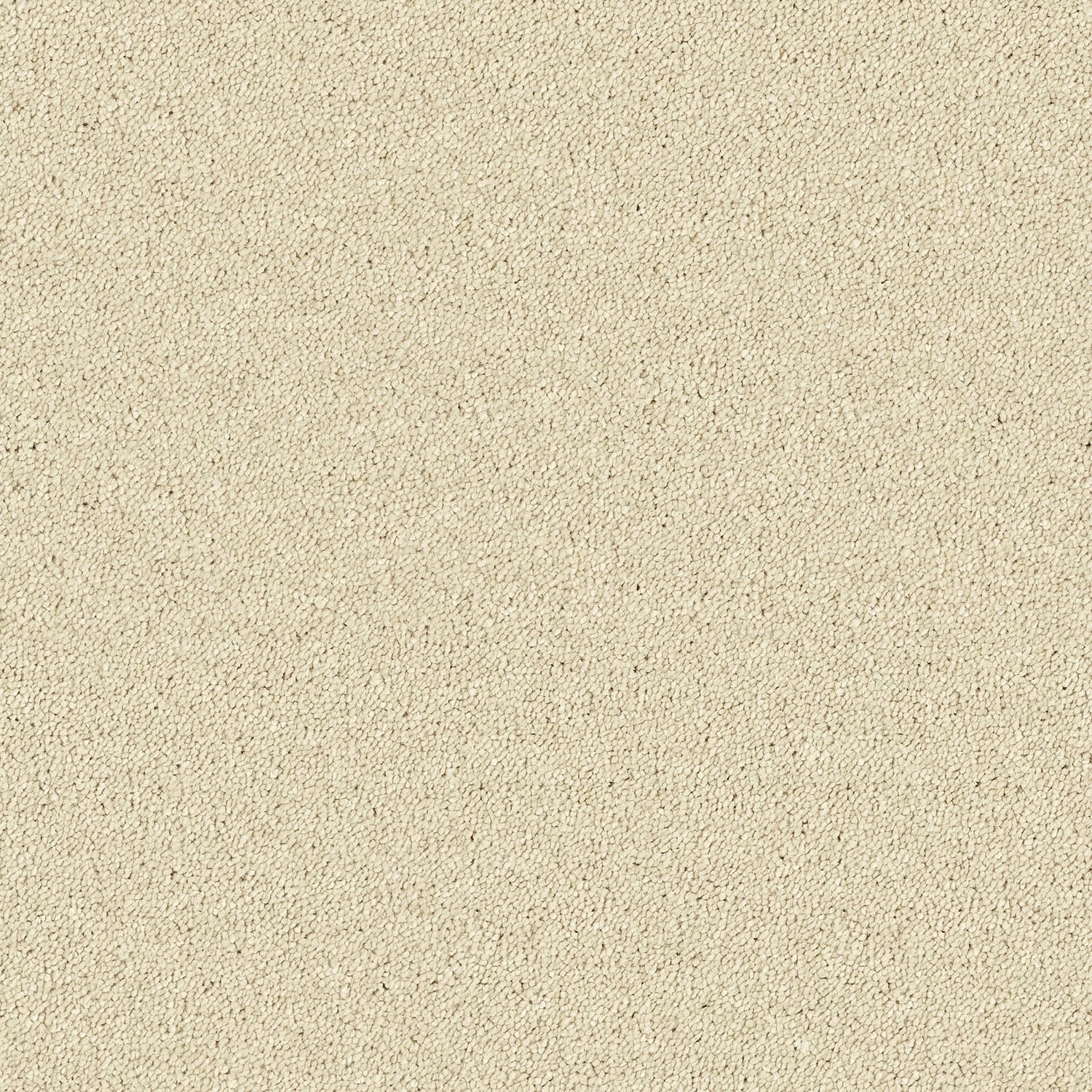 Cotton