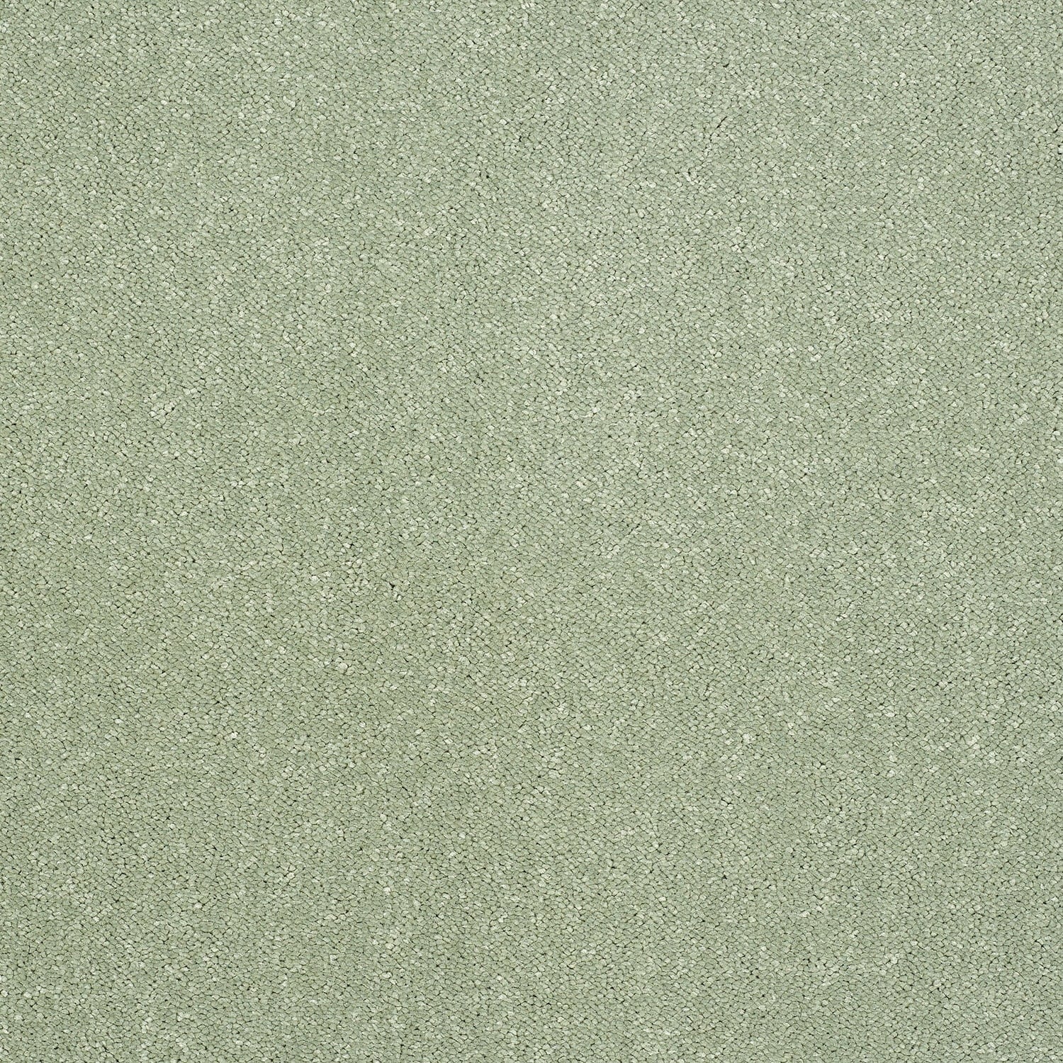 PUTTING GREEN