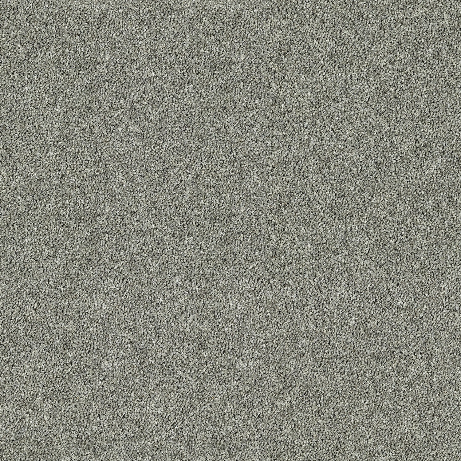 Silver Shadow
