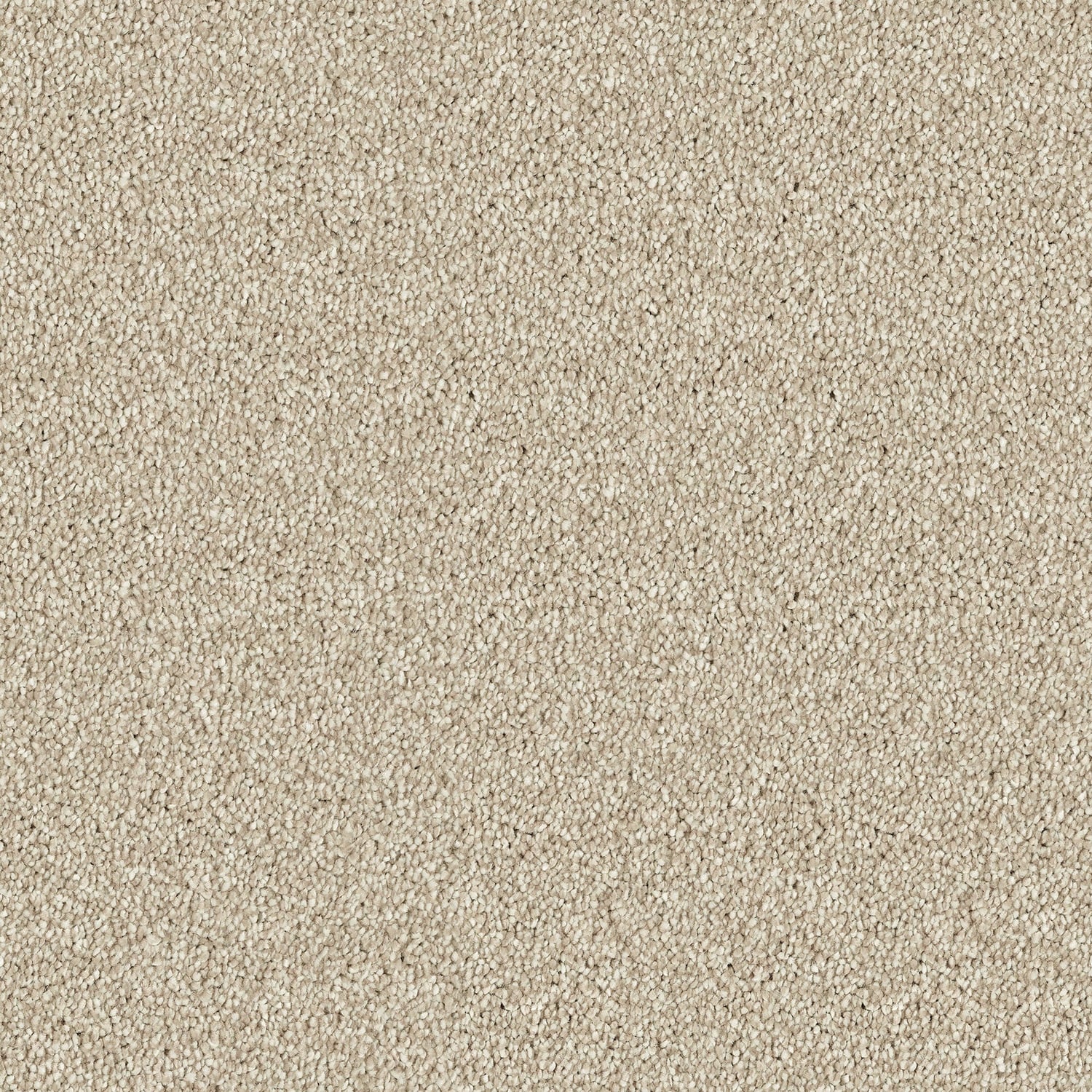 Sandstorm