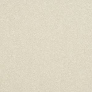 White Whisper