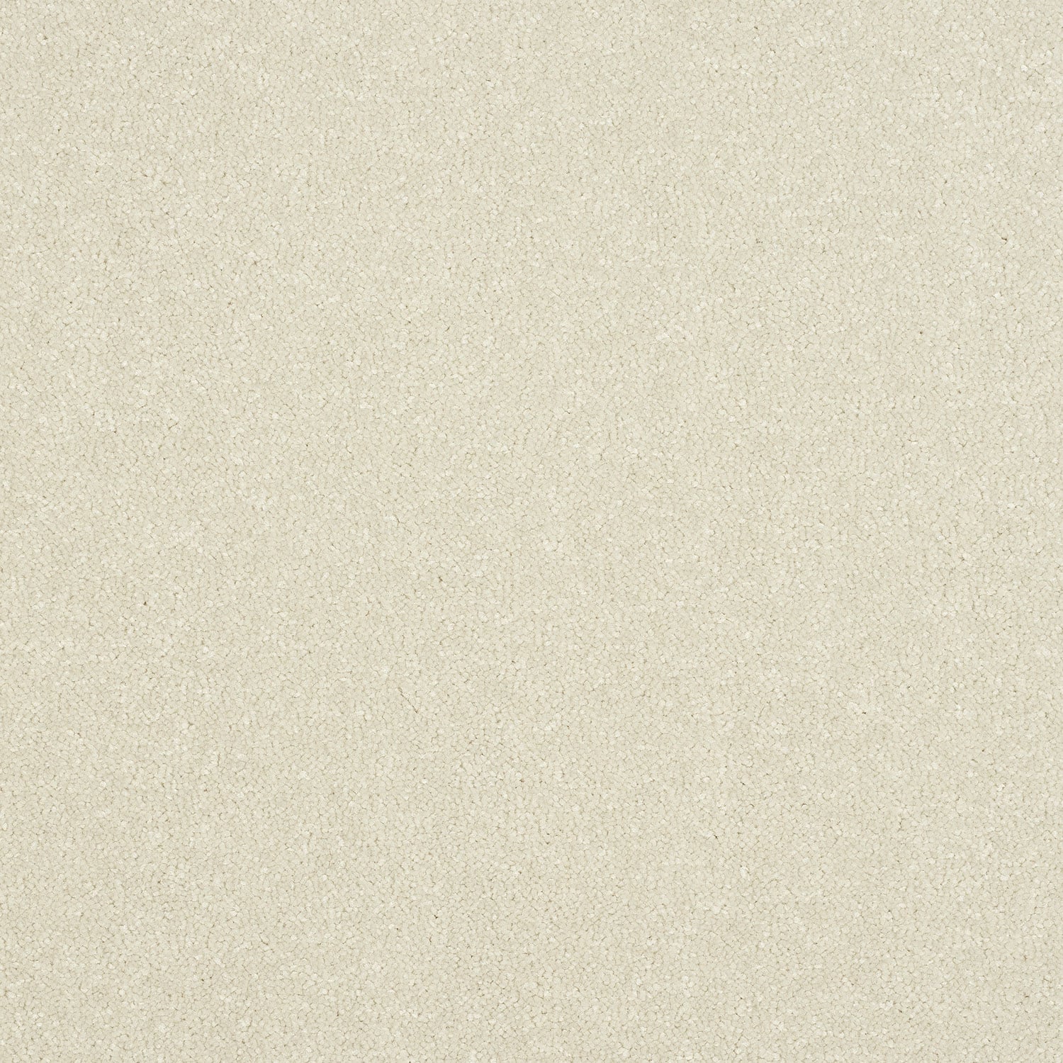 White Whisper