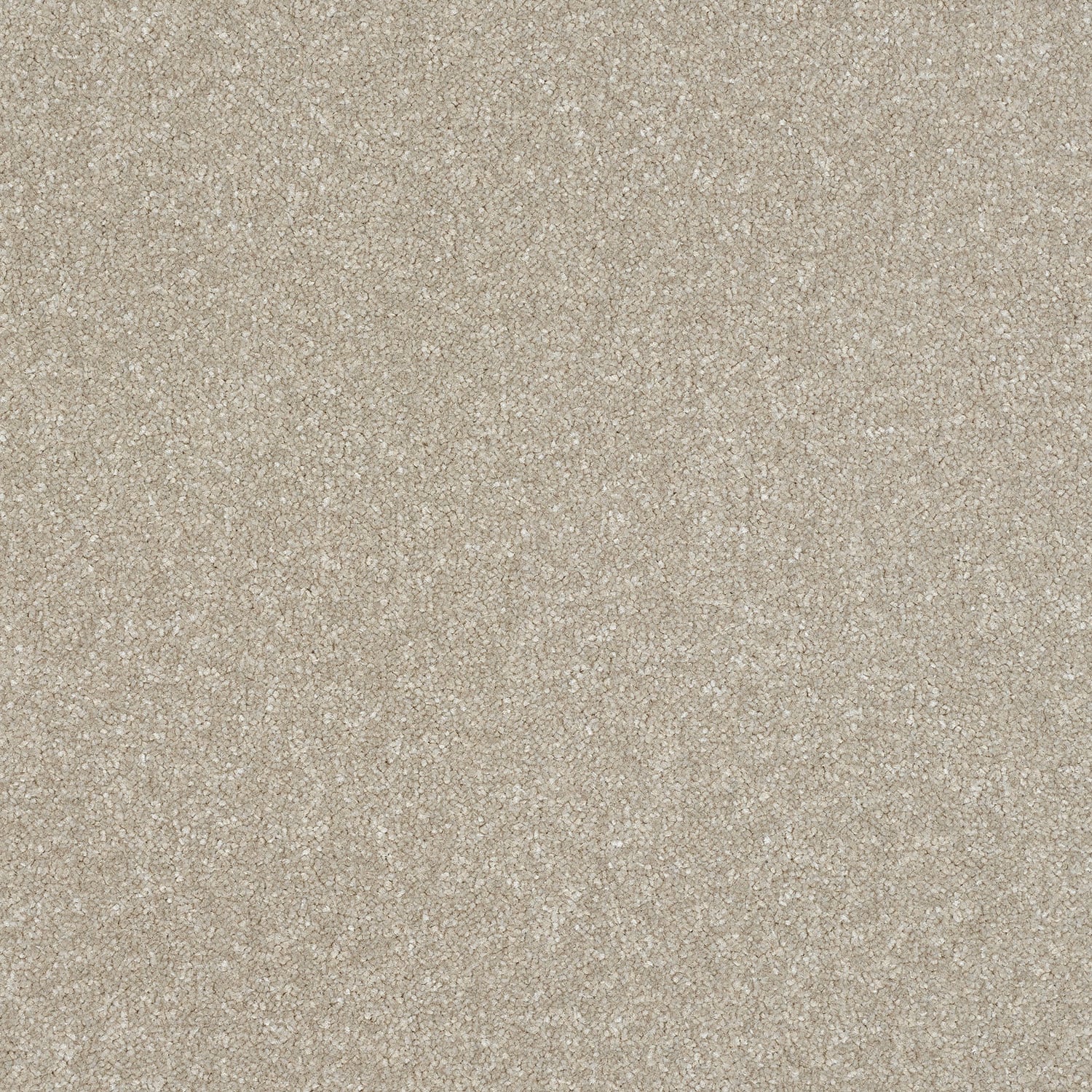 Parchment