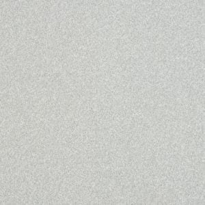 Frost