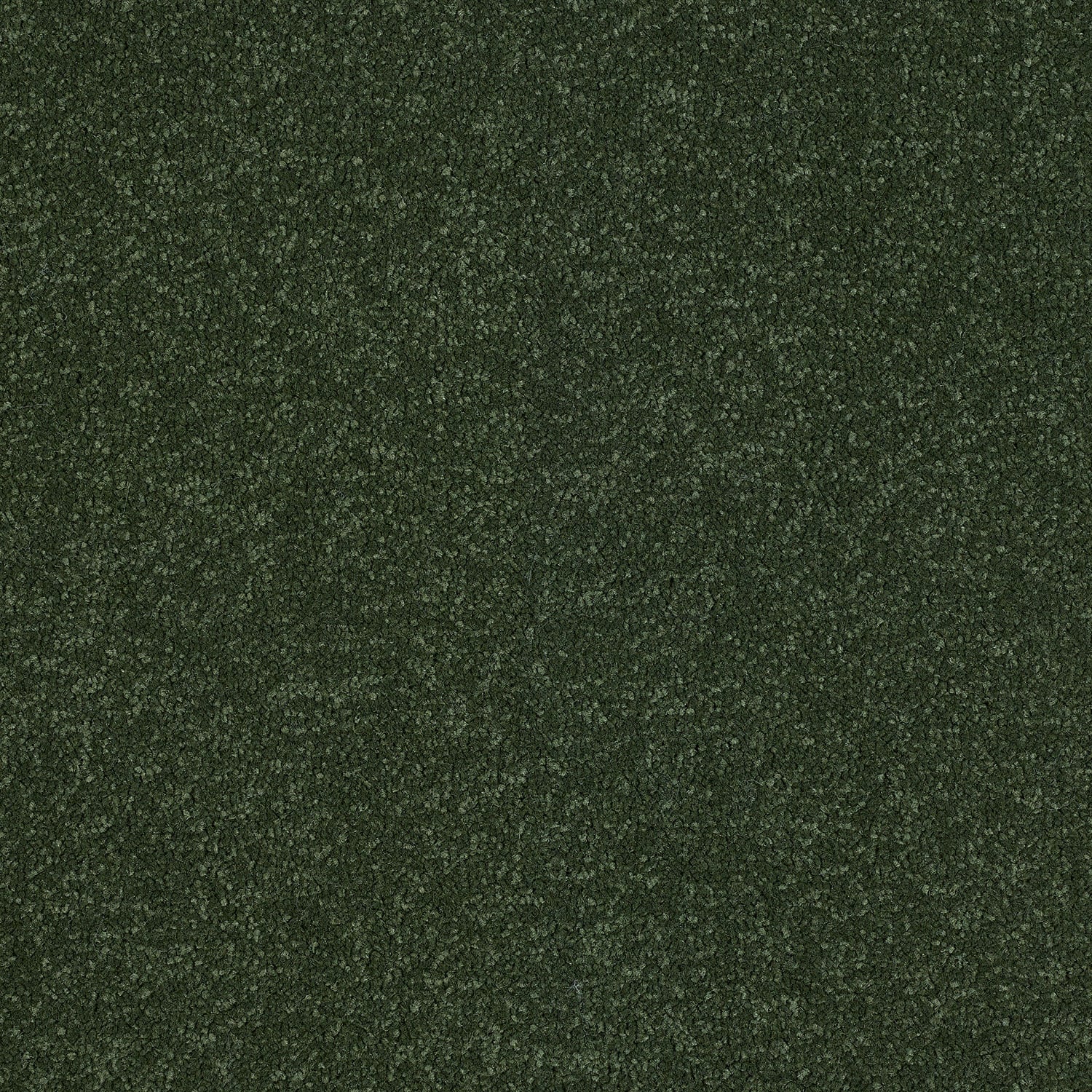 Moss