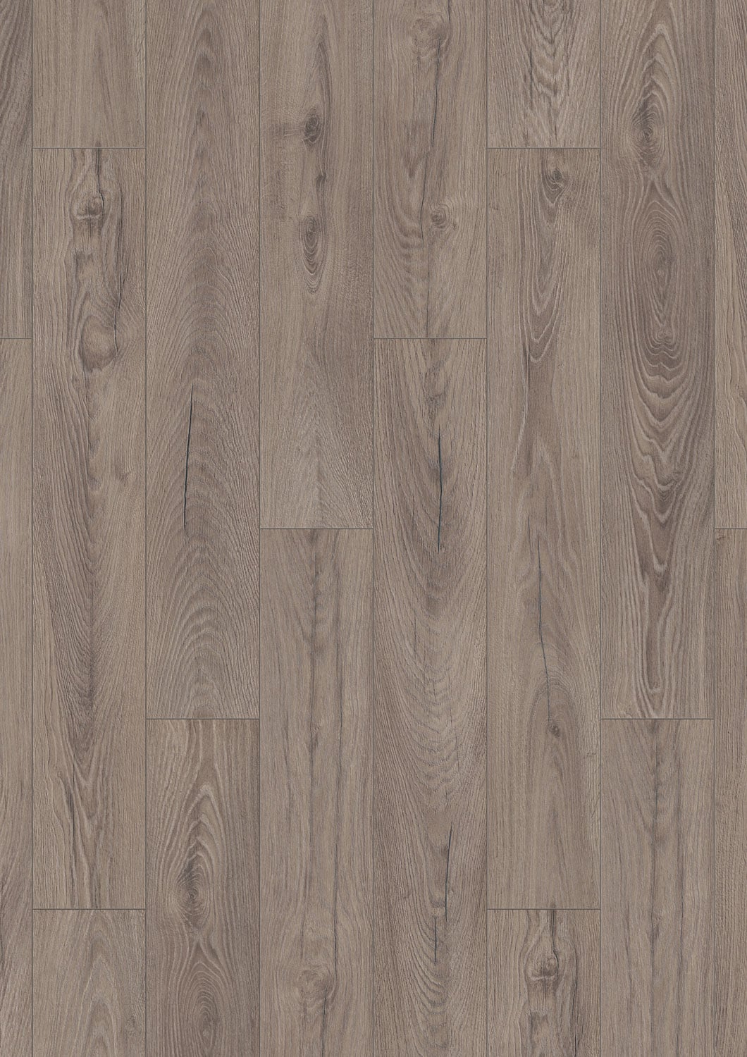Fossil Oak