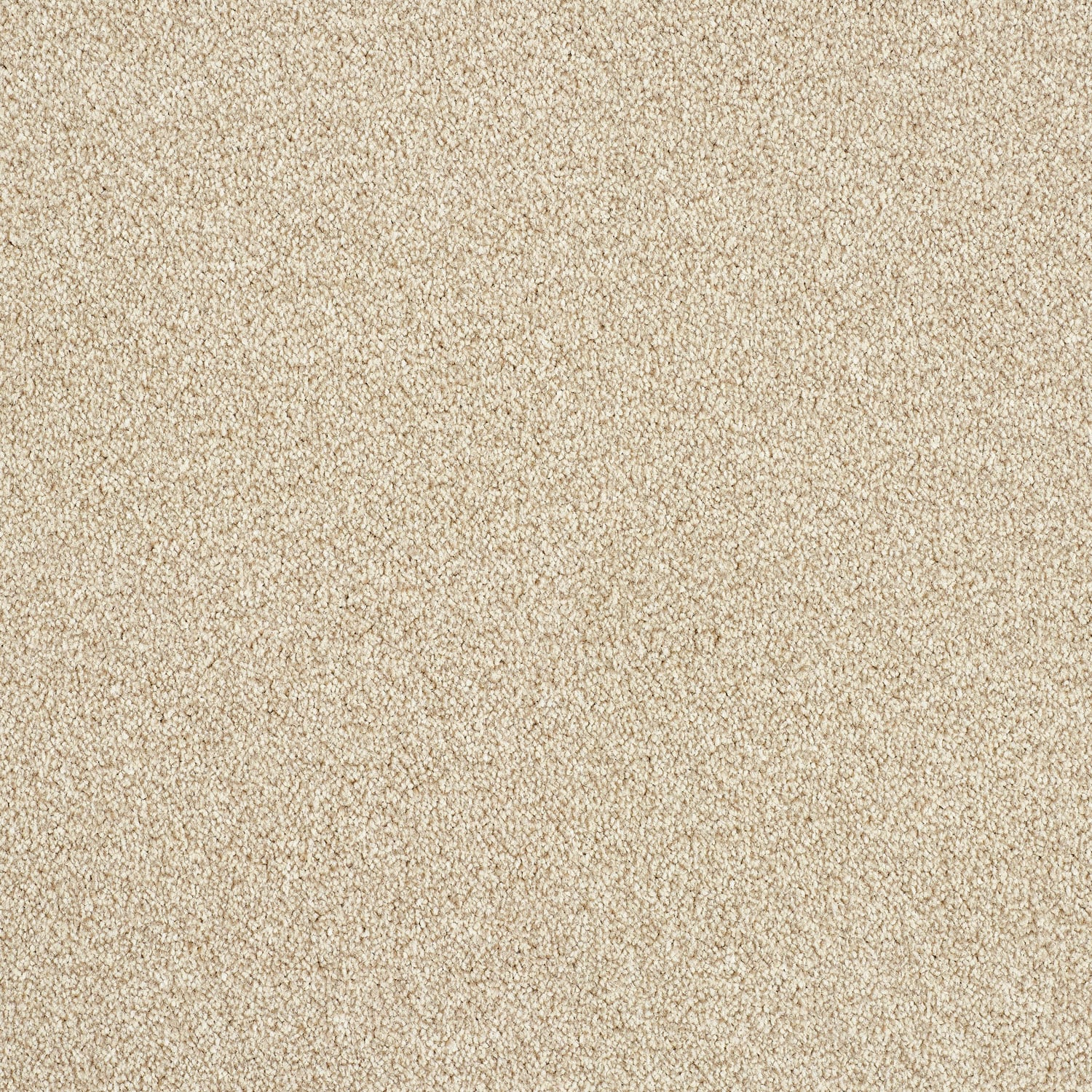 Wheat