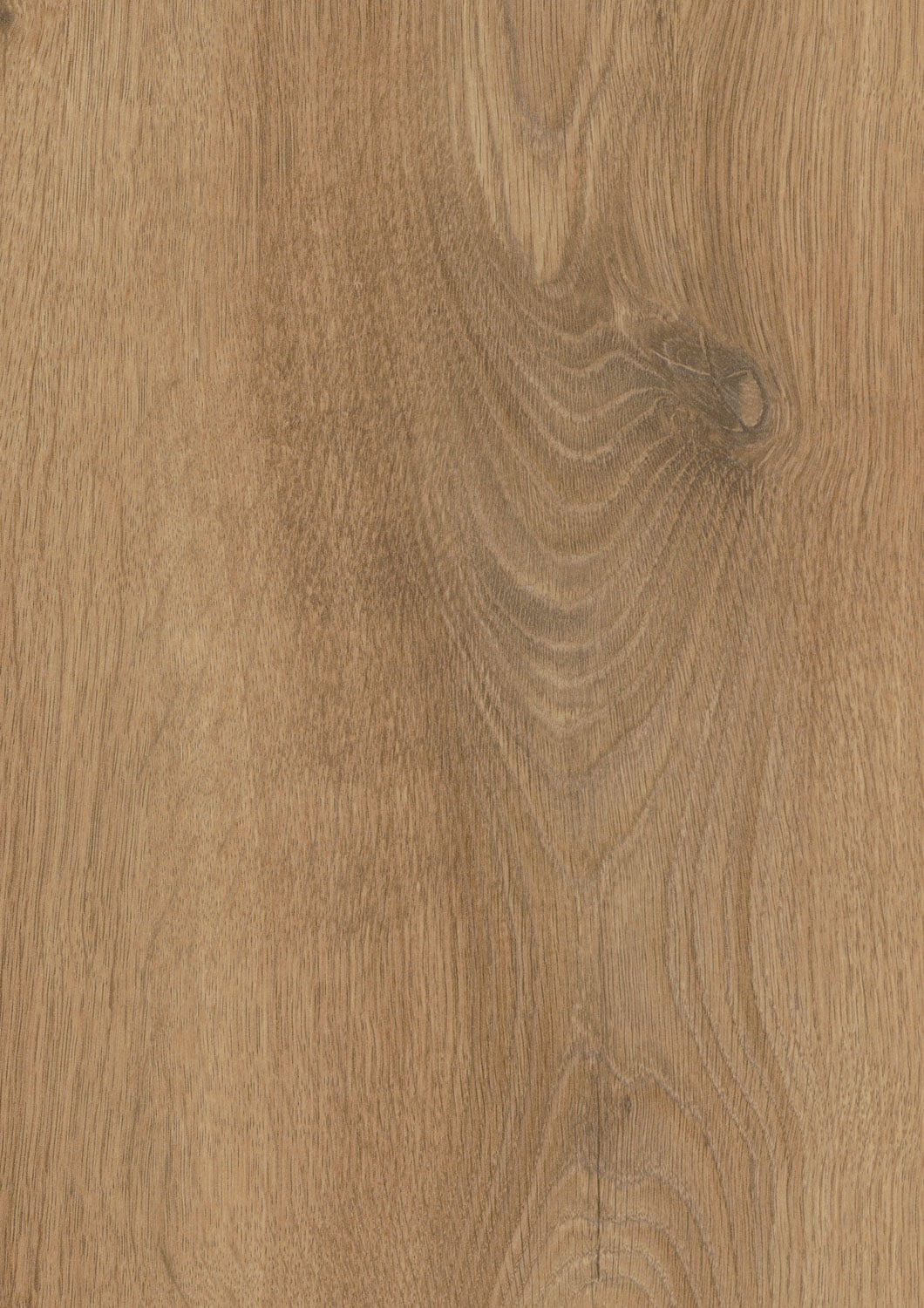 Pale Oak