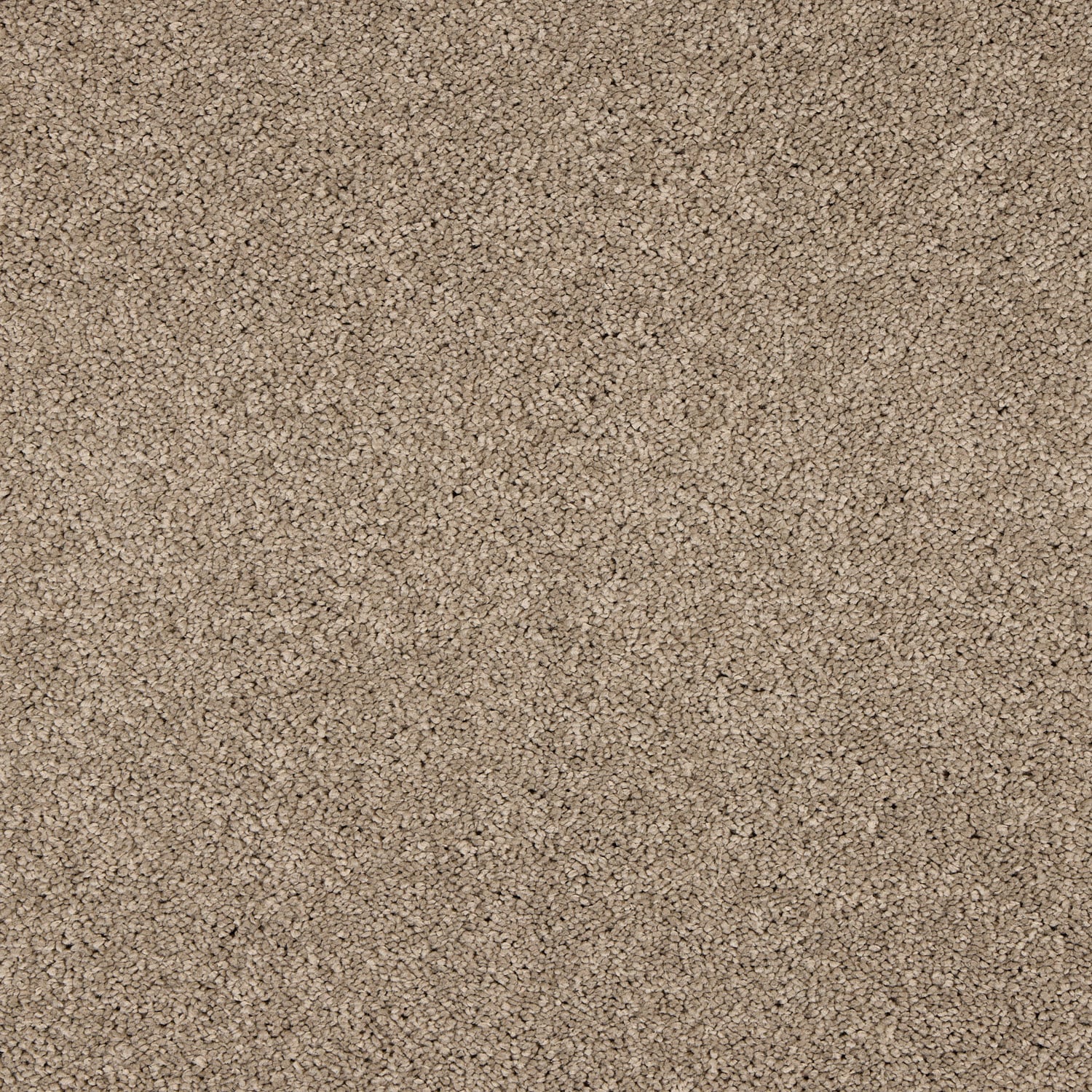 Cashmere