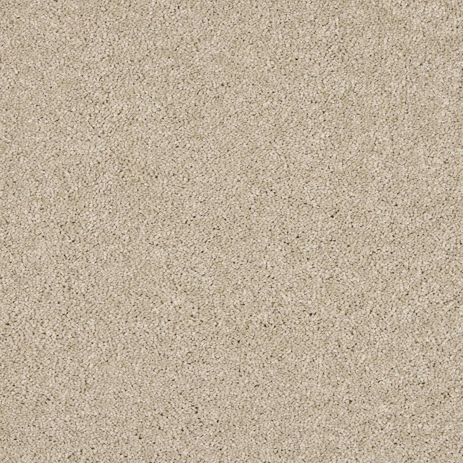 Dust