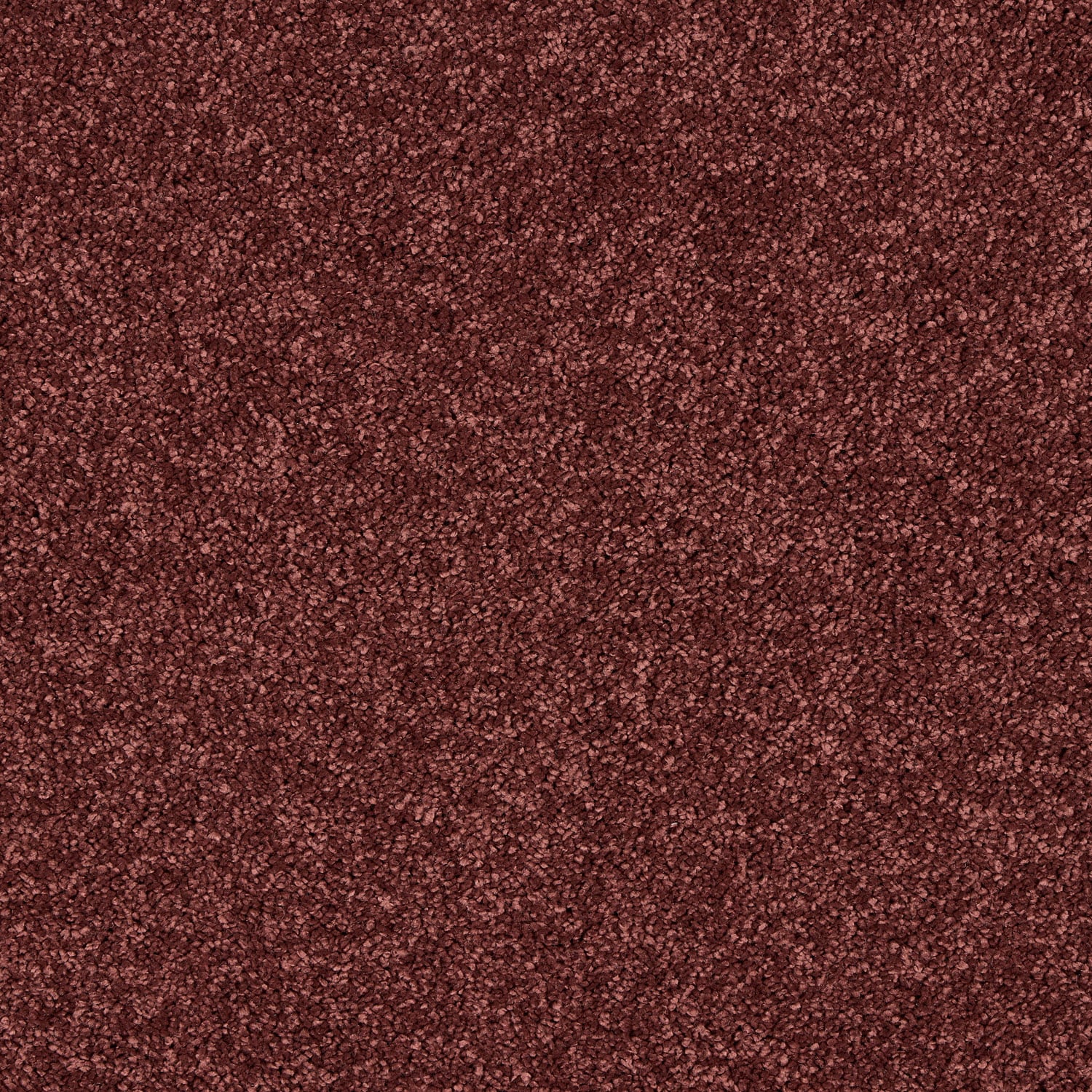 Bookroom Red