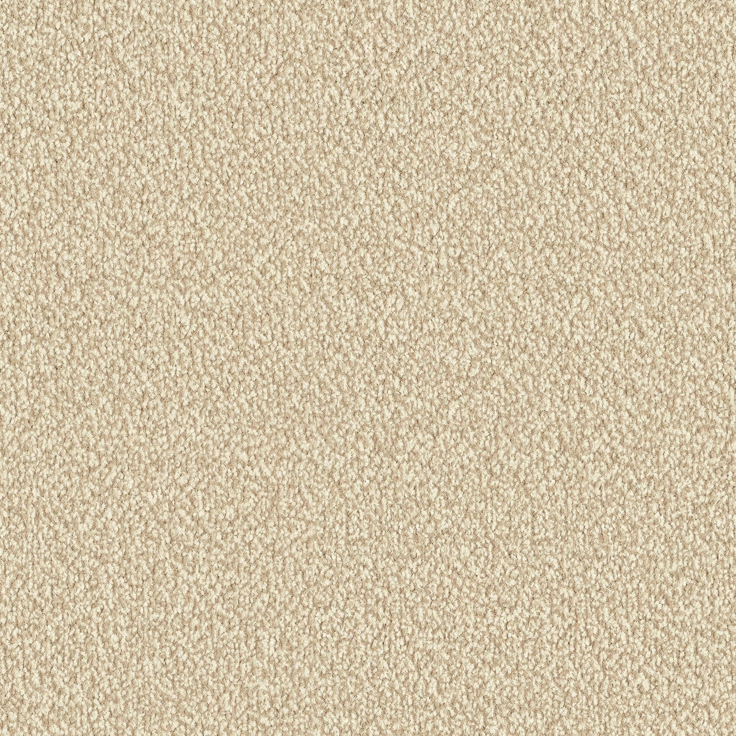 Nutmeg