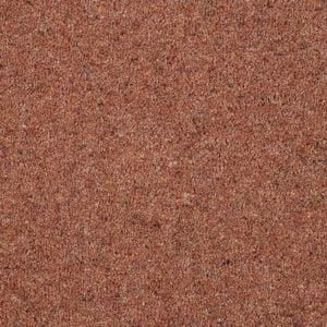Cinnamon