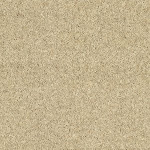 Drop Cloth