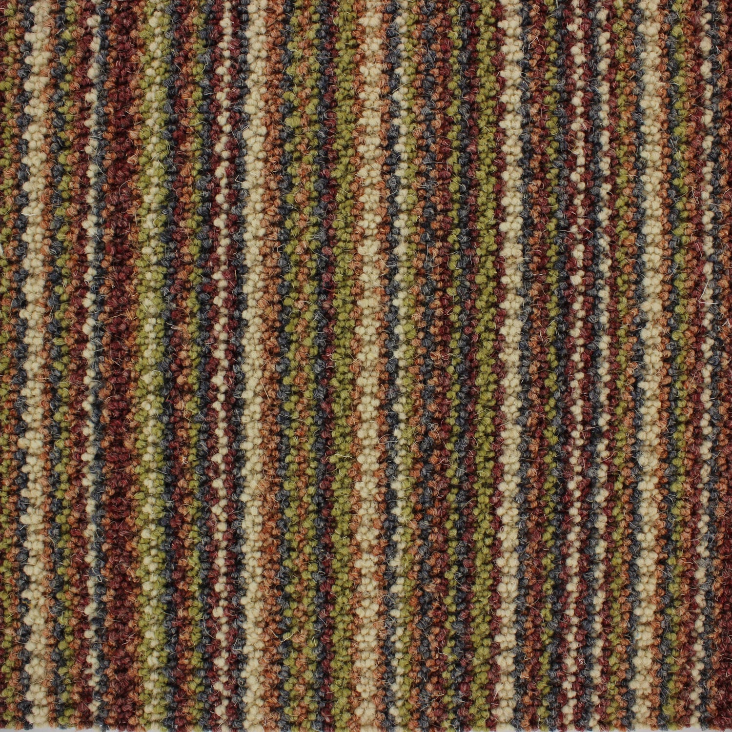 Candy Cane