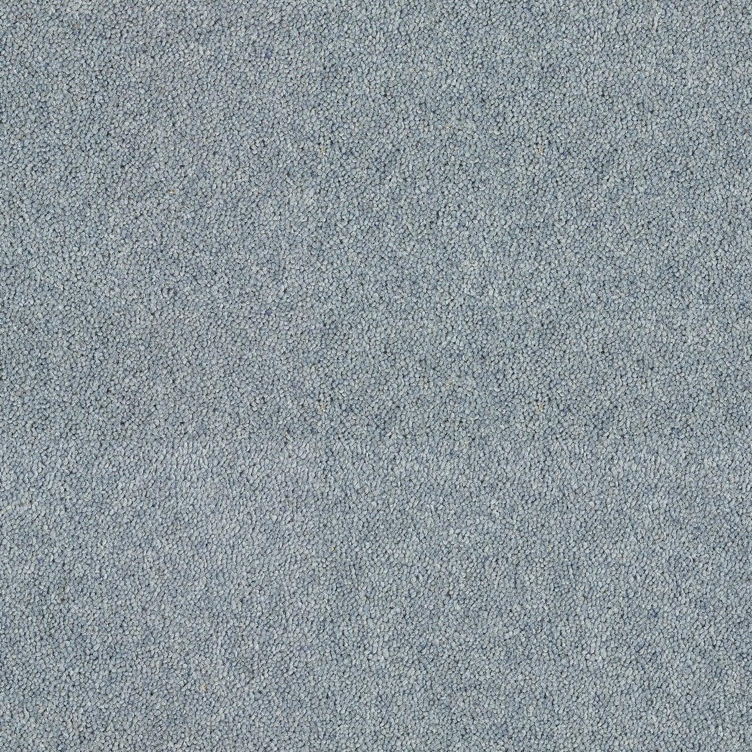Pastel Blue