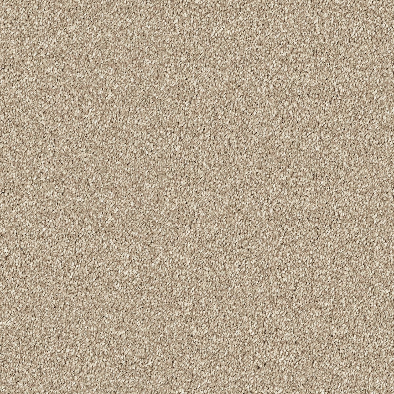 Amaretto