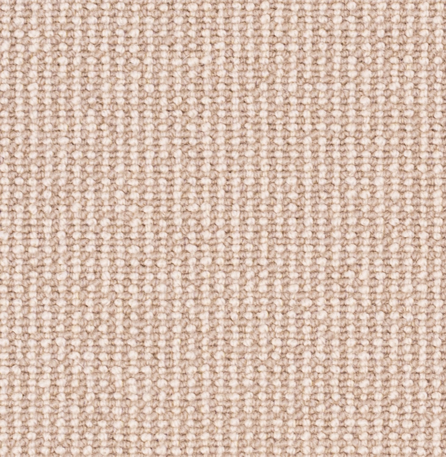 Maize