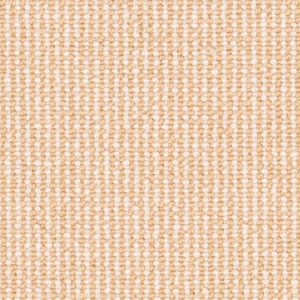 Palomino