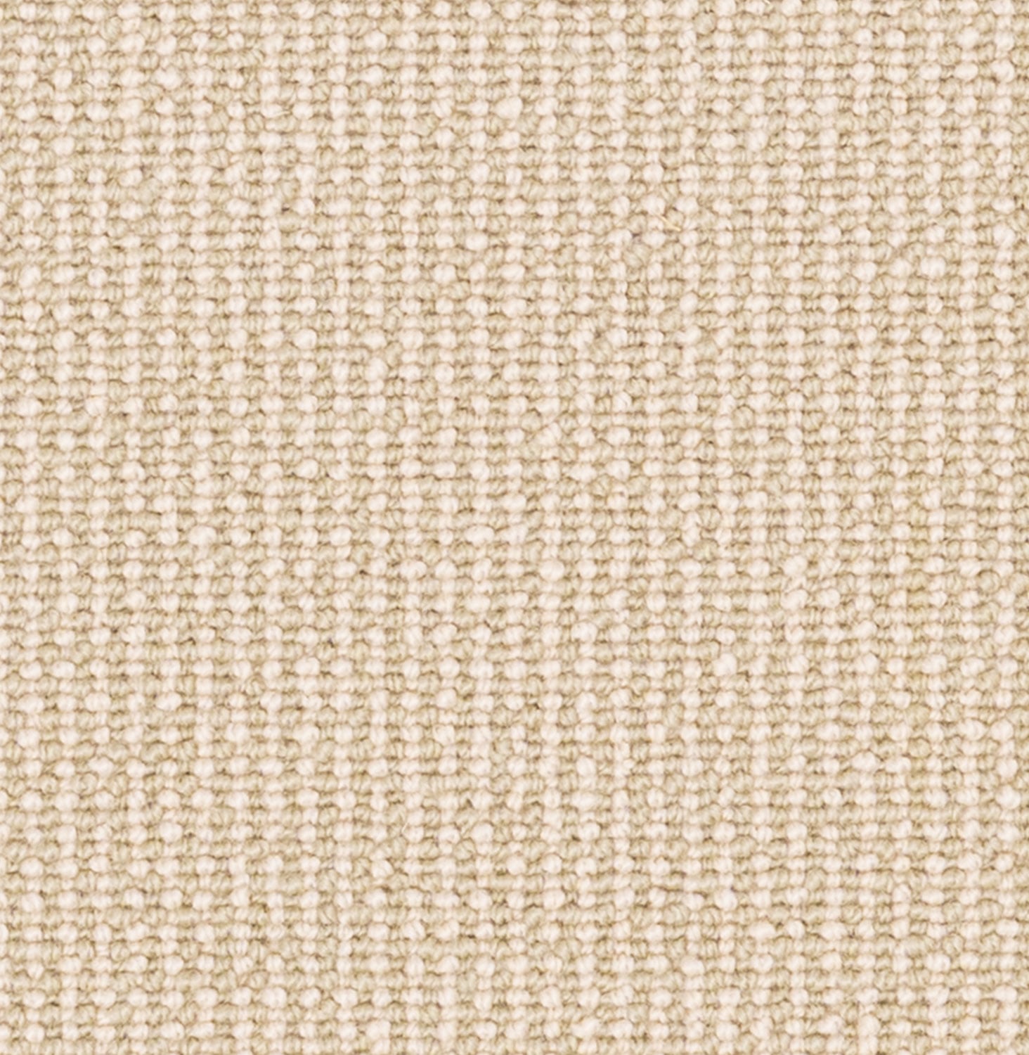 Reed Grass