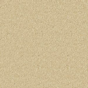 Sahara