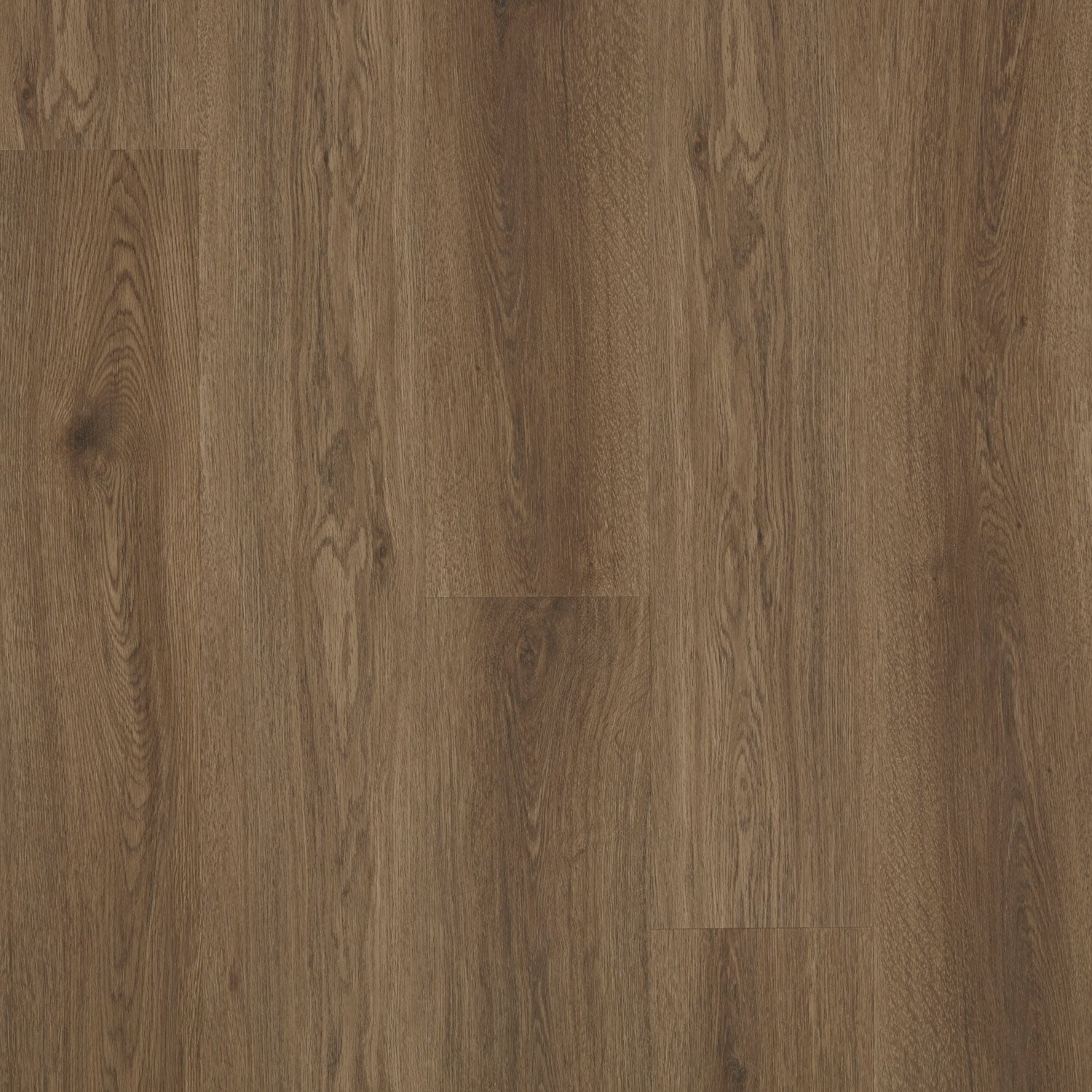 Wenge