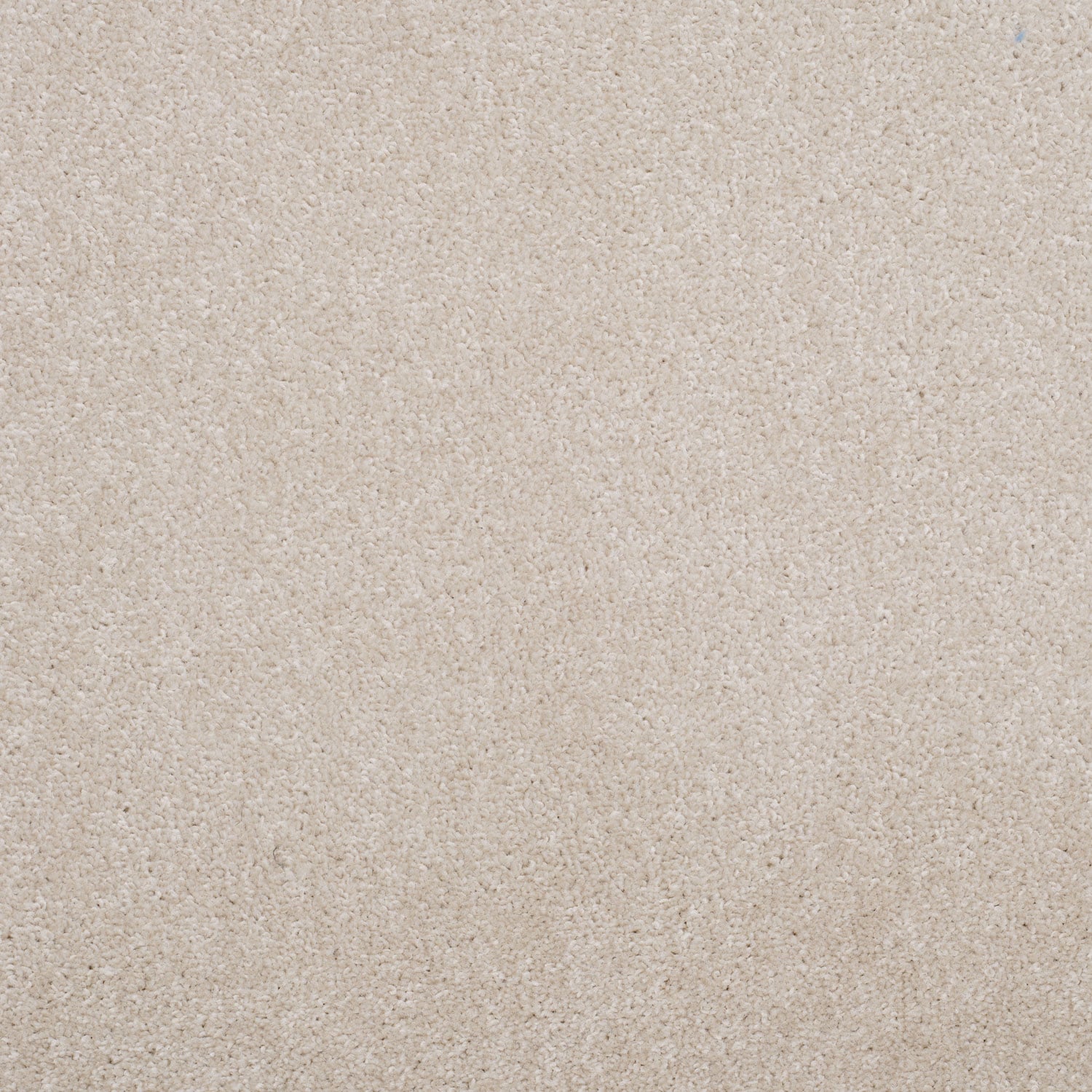 605 Ivory Pearl