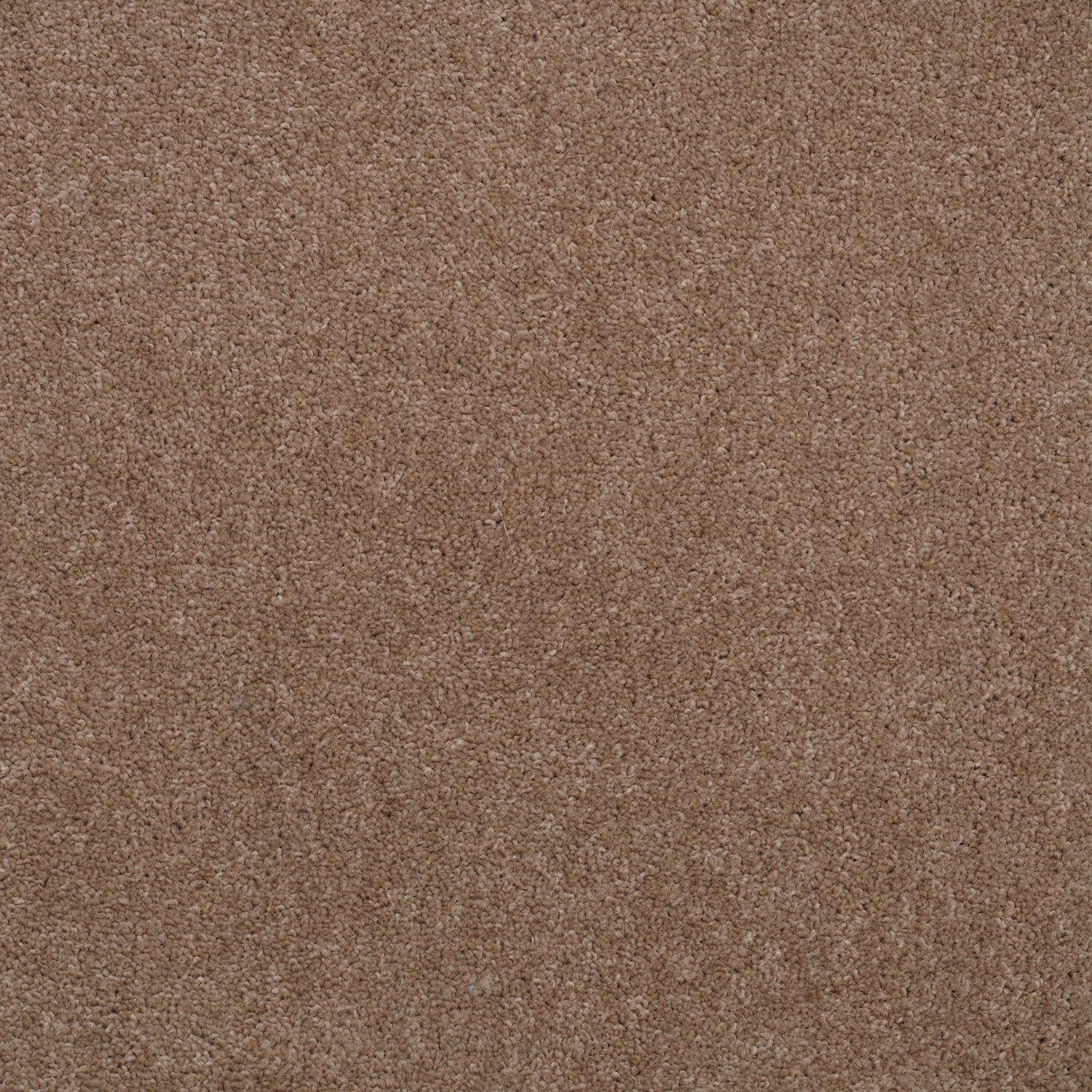 810 Almond