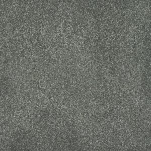 453 - Lichen