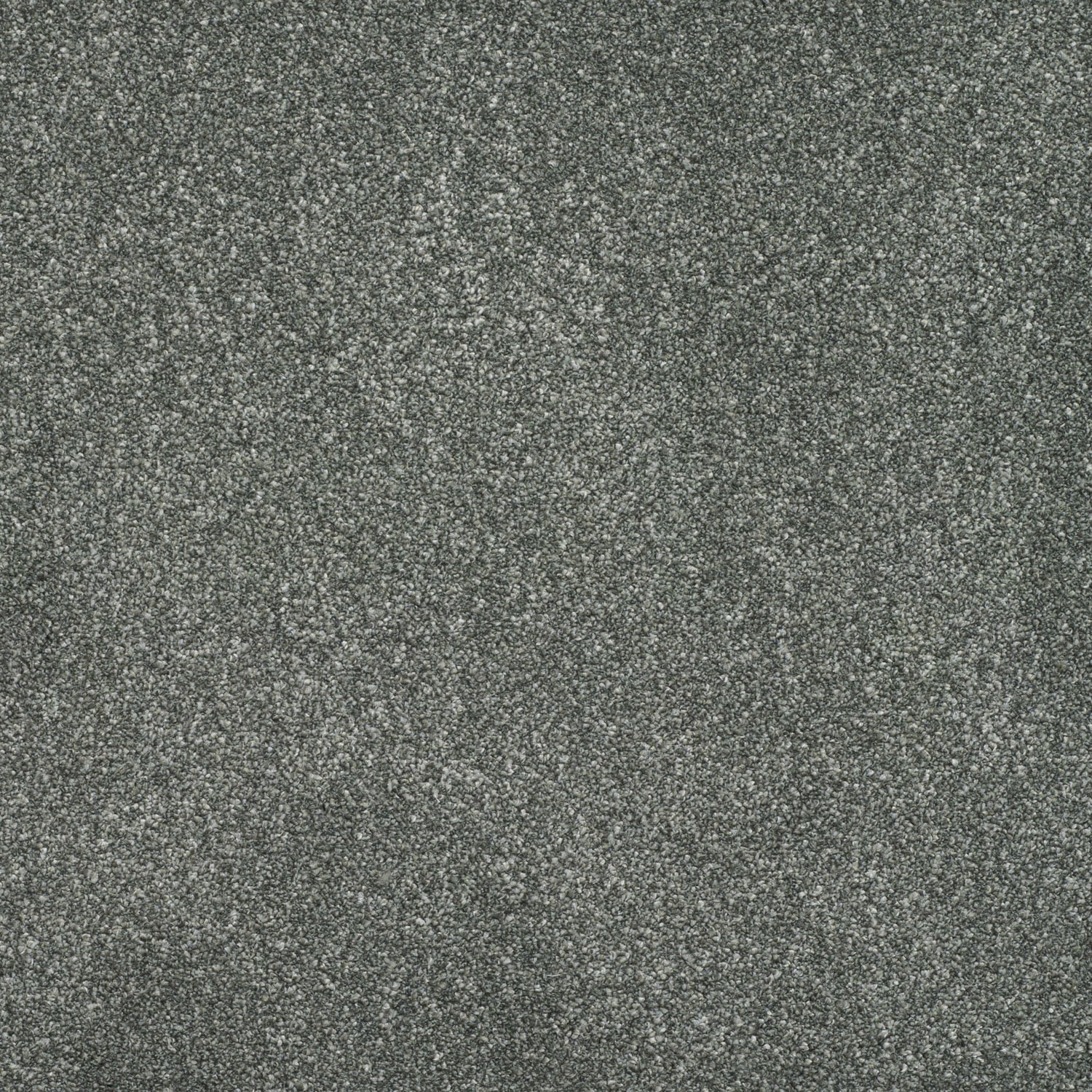 453 - Lichen
