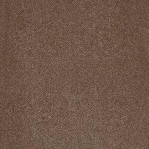 Moleskin