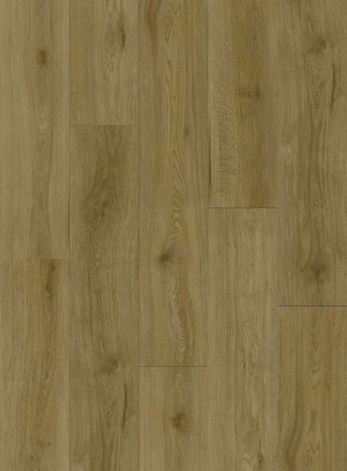 Classical Oak