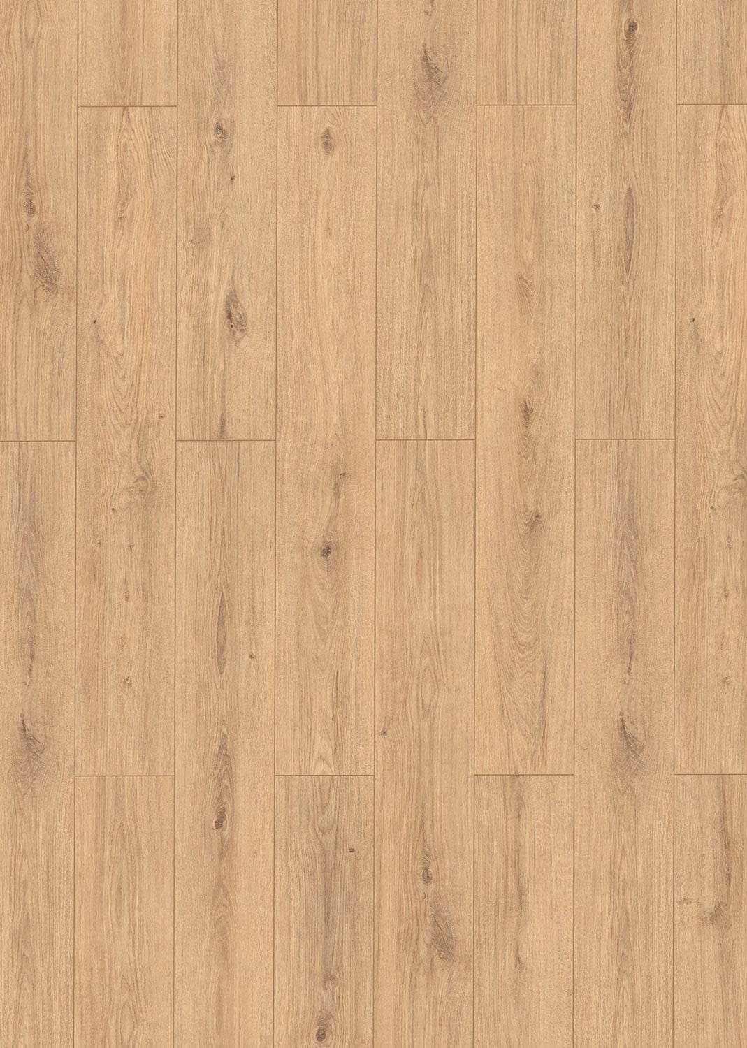 Beige Oak