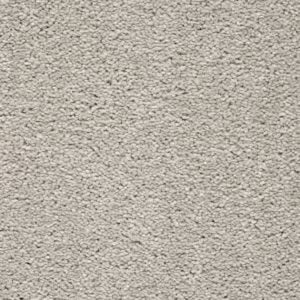 Montreal 39 Brushed Cotton