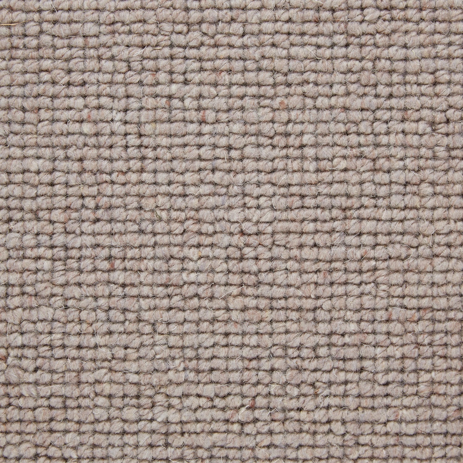 159 Chamois