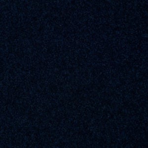 Royal Navy