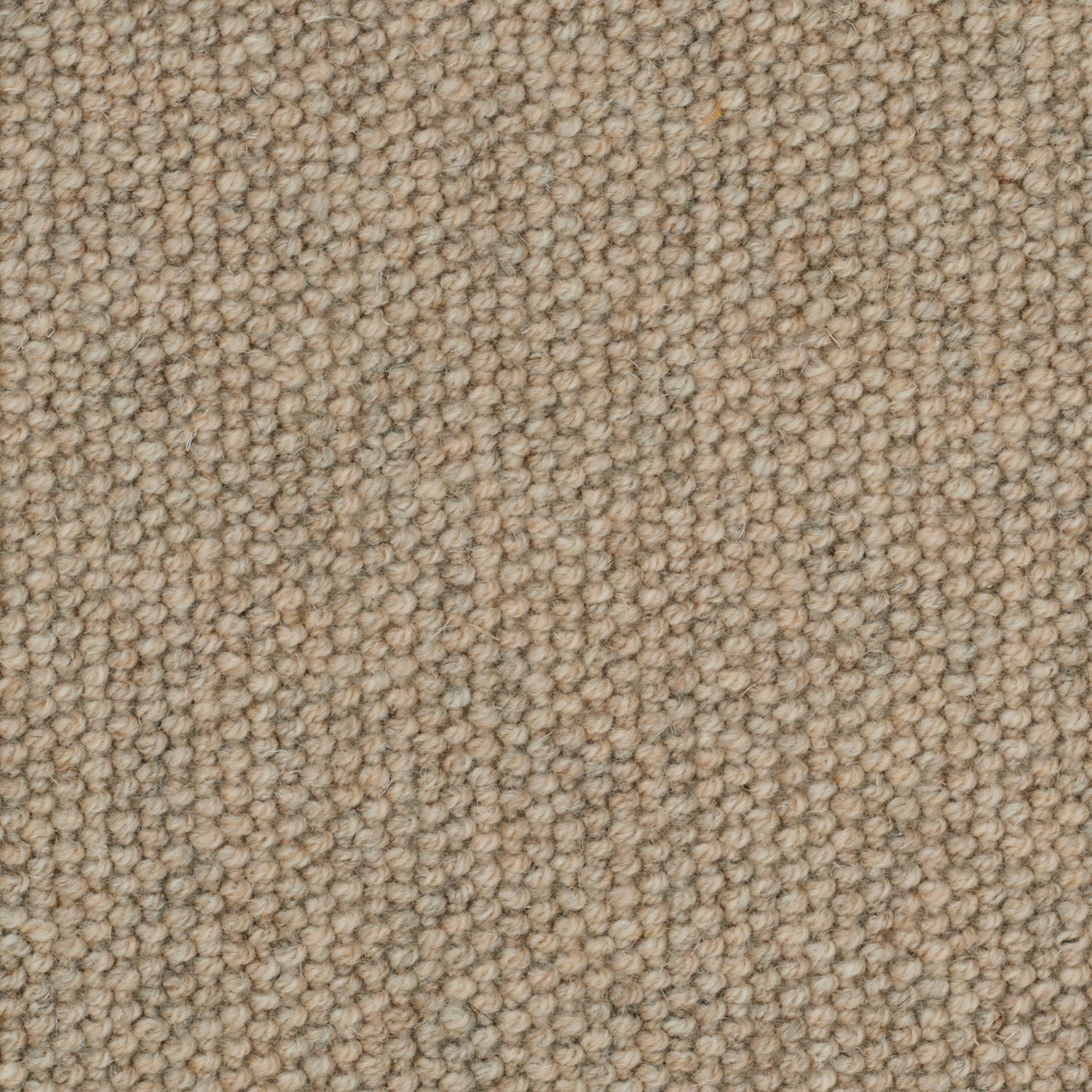 Wheat