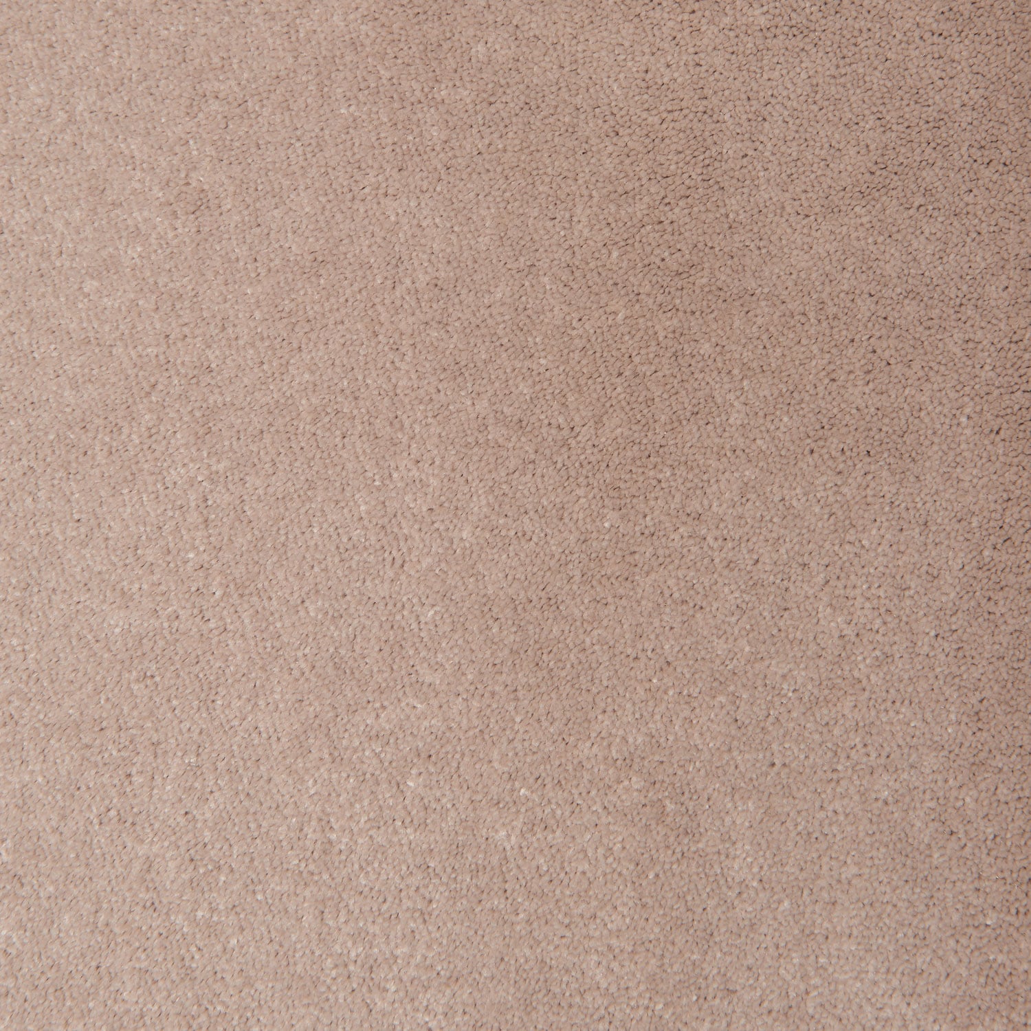 Pumice 8314