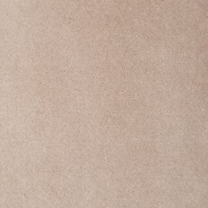 Nutmeg 8613