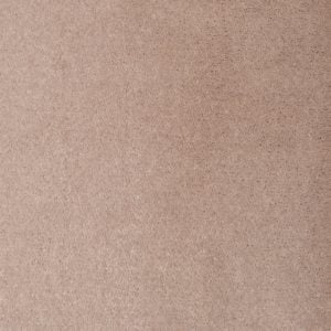 Pumice 8614