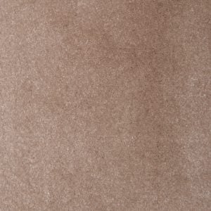 Turtle Dove 8604