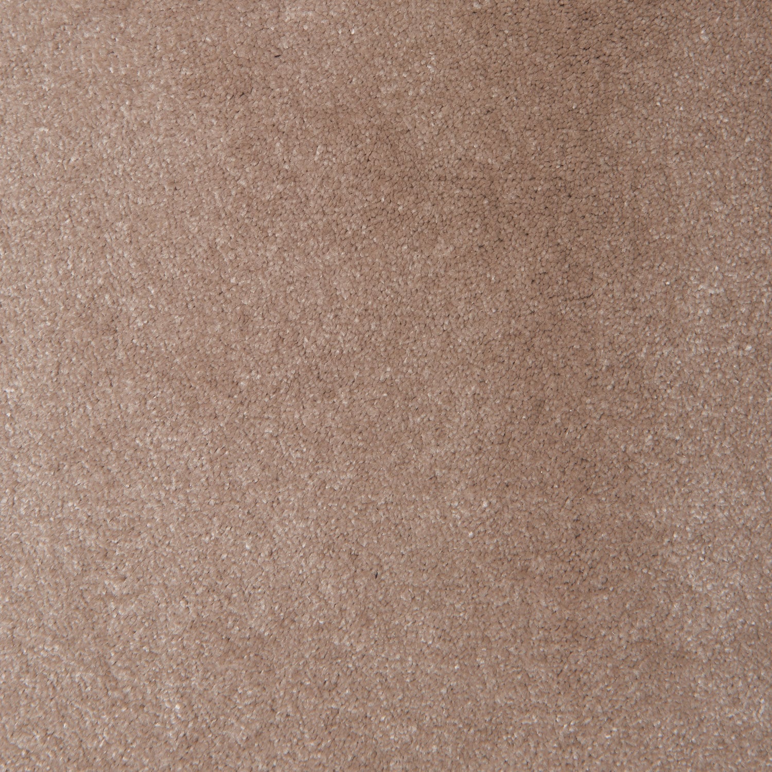 Turtle Dove 8604