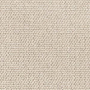 Ivory 22