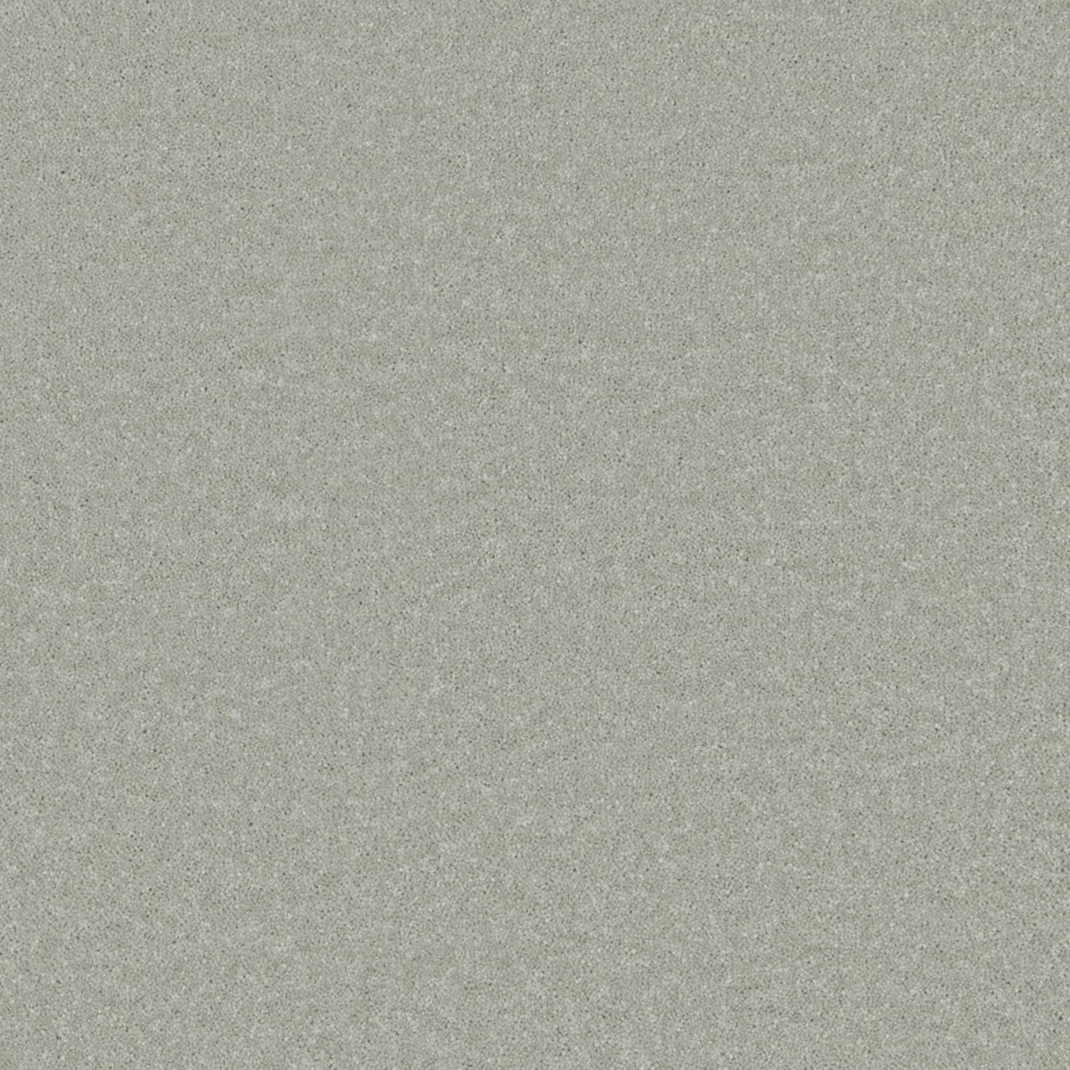 Lichen