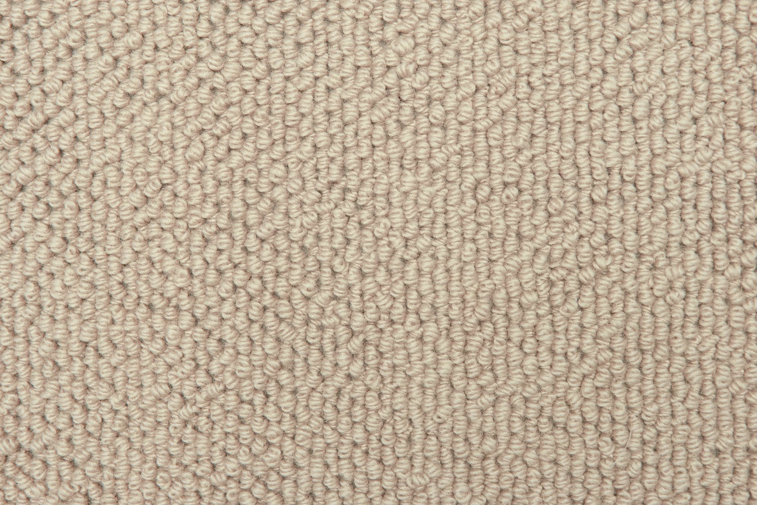 Warm Beige