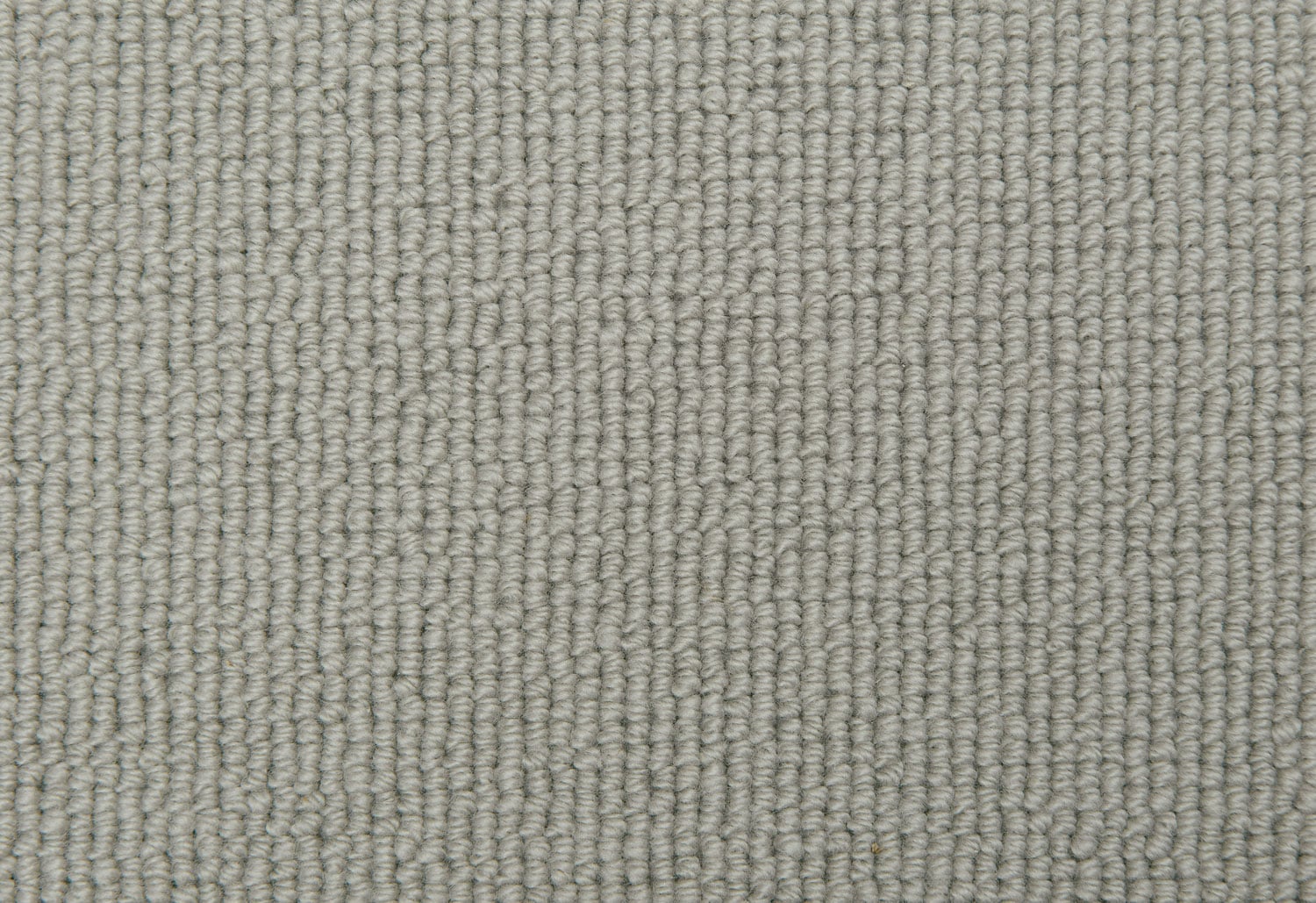 Chamomile 2707