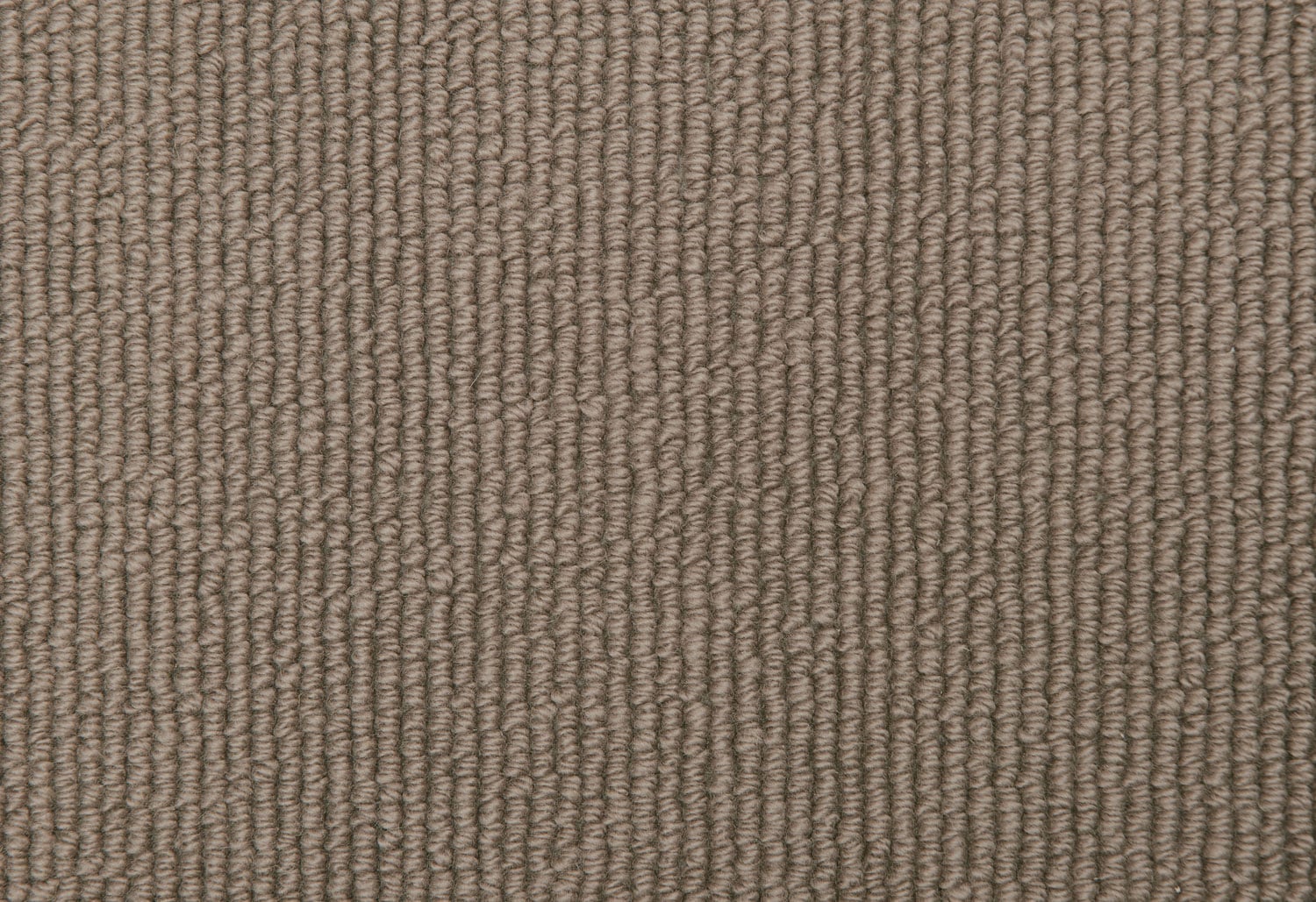 Pampas 2705